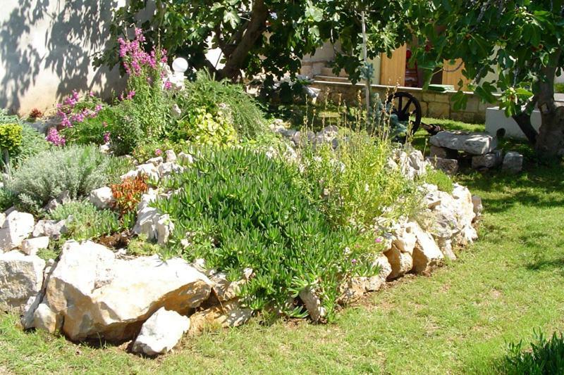 Pape Punat Apartmani I Sobe Ngoại thất bức ảnh