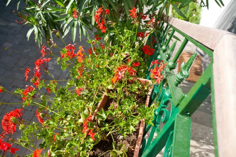 Pape Punat Apartmani I Sobe Ngoại thất bức ảnh
